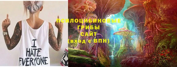 ПСИЛОЦИБИНОВЫЕ ГРИБЫ Осинники