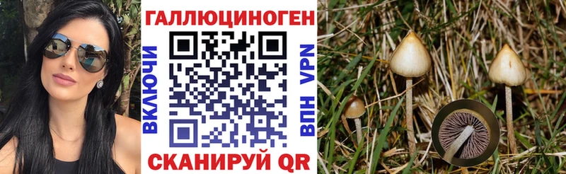 Псилоцибиновые грибы мицелий  магазин продажи   Ступино 